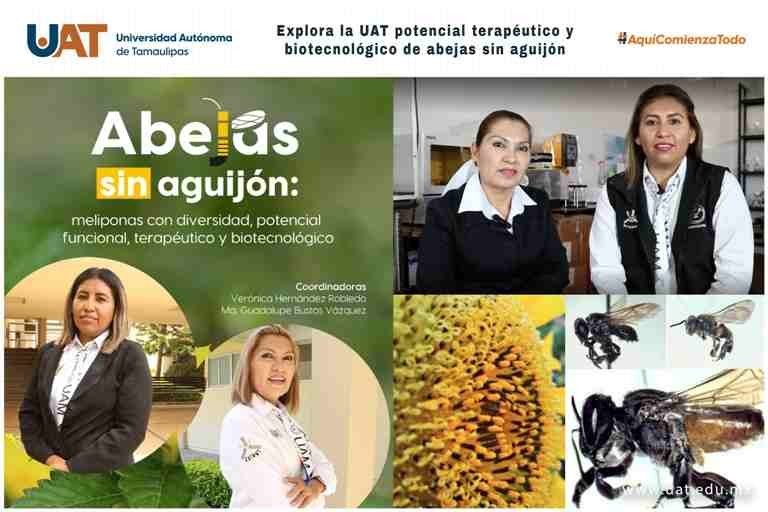 Explora la UAT potencial terapéutico y biotecnológico de abejas sin aguijón 1 foto 1 abejas 01 03 2023 compressed