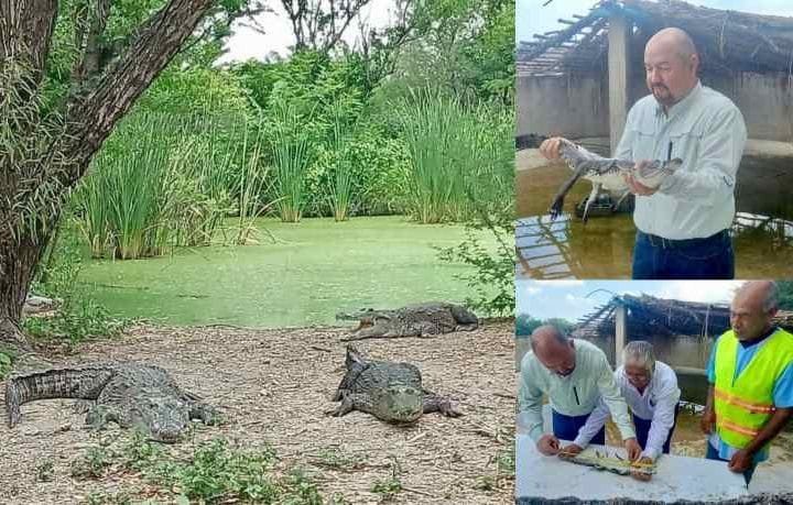 Fortalece Tamaulipas ca