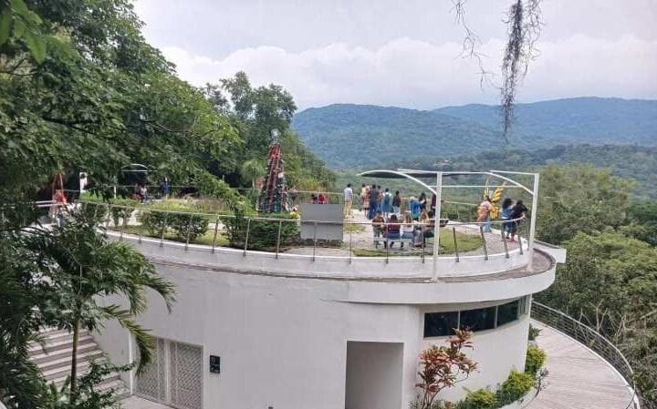 A traves de la colecta