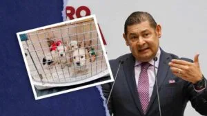 Cero tolerancia al maltrato animal, refrenda Alejandro Armenta Gobernador Electo de Puebla. 42 Cero tolerancia al maltra