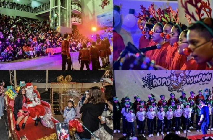 Encienden pino navid