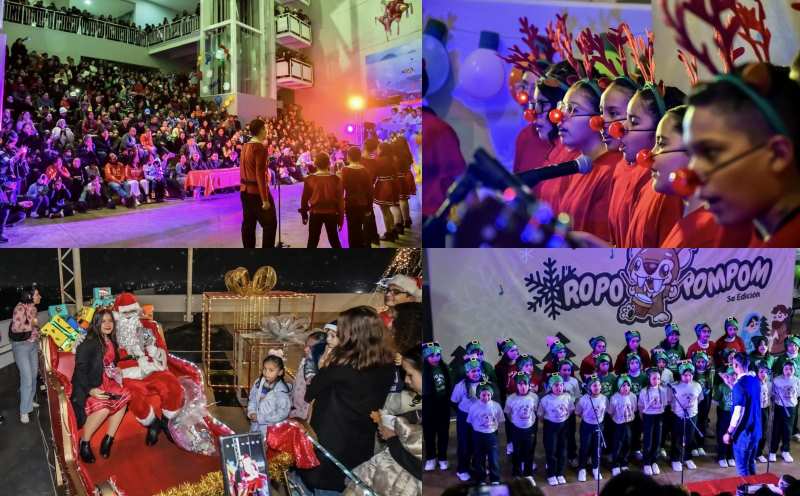 Encienden pino navid