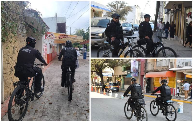 Mantiene Grupo Delfines de