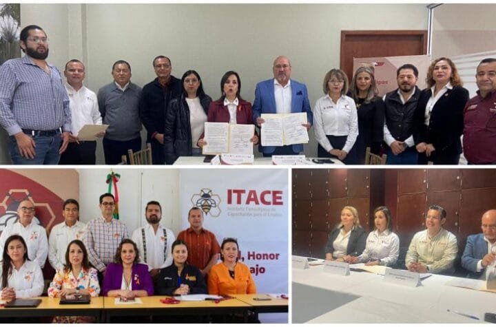 Integra ITACE comites de vincula