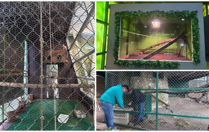 Por onda gelida permaneceran cerrado