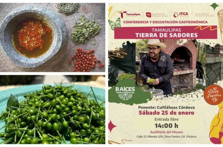 Raices tamaulipecas mues