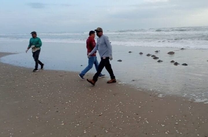 Regresa Comision de Parqu