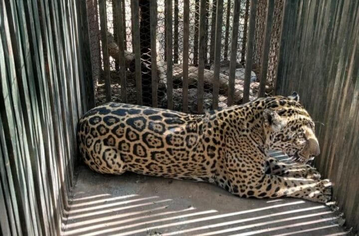 Aclara Comision de Par