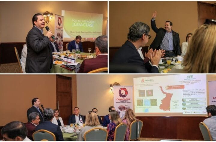 Es Tamaulipas el estad