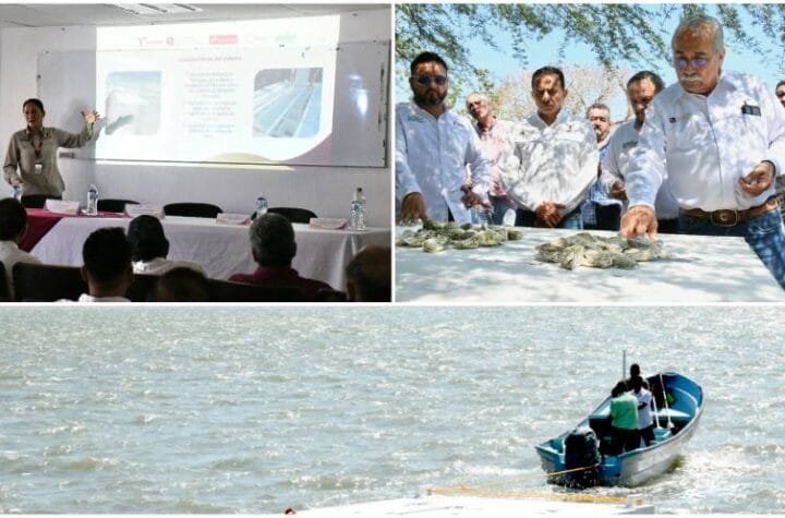 Presentan proyecto para el cultivo