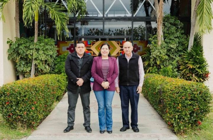 Presenta ITSM avances y