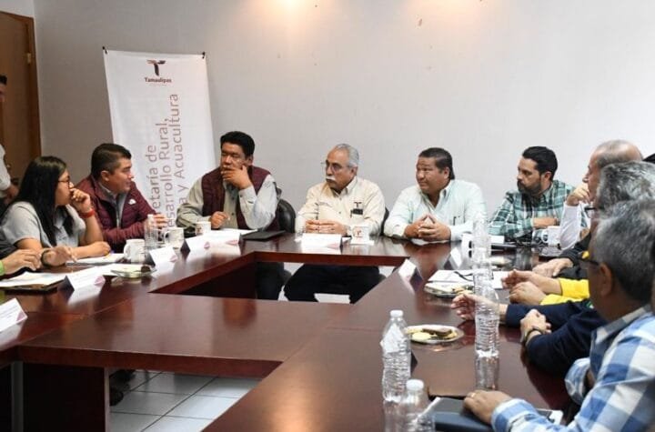 Suman acciones para el control del manejo