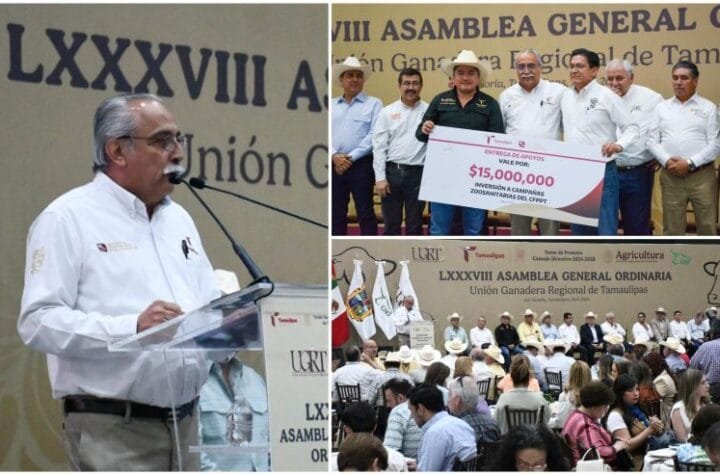 Asigna Gobierno de Tamaulipas 49 mil