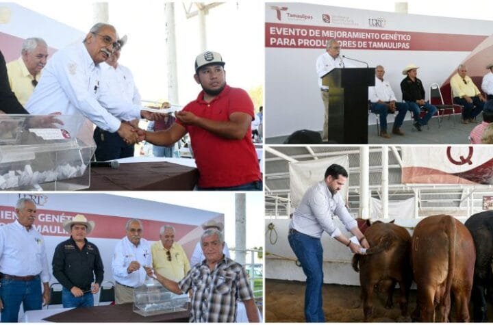 Destina Gobierno de Tamaulipas 19 millones de