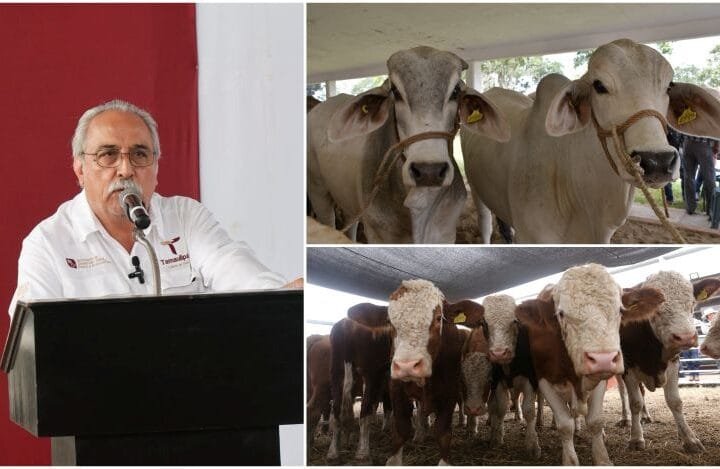 Prepara Desarrollo Rural evento