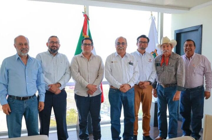 Proyecto de etanol transfor