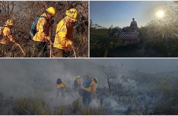 Refuerzan brigadistas de la SEDUMA c