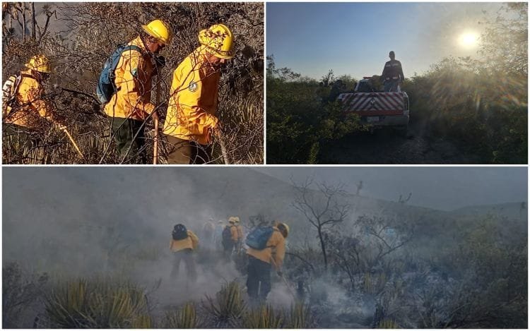 Refuerzan brigadistas de la SEDUMA c