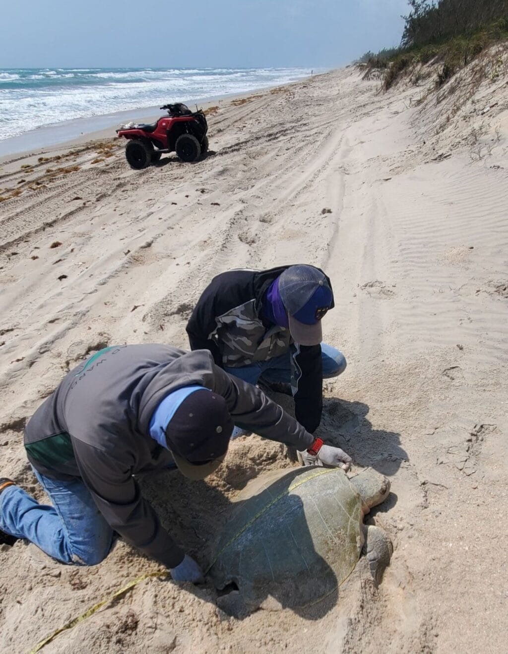 Imagen de WhatsApp 2025 05 13 a las 11.48.06 b073beb4