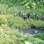 Encuentran bebe sin vida bajo puente