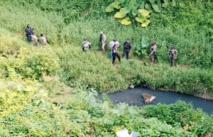 Encuentran bebe sin vida bajo puente