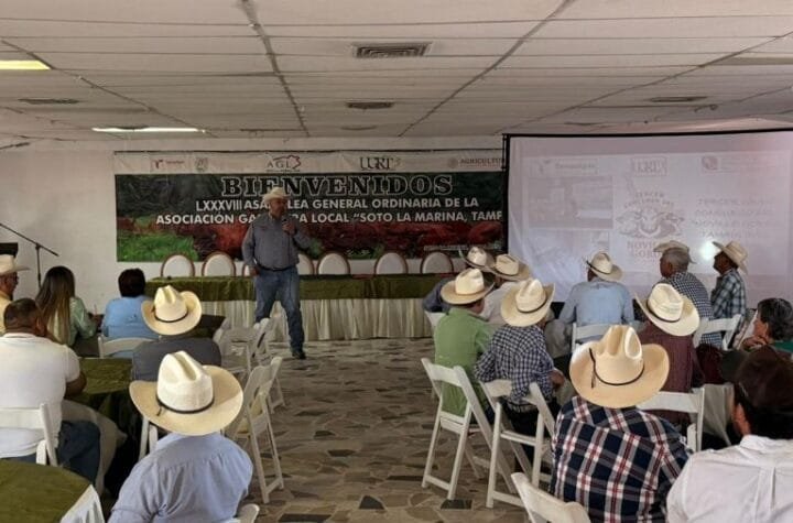 Presentan convocatoria para el Novillo