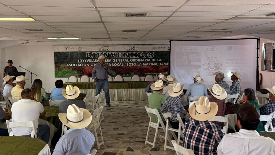 Presentan convocatoria para el Novillo