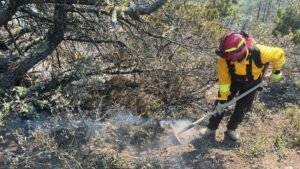 Refuerza Gobierno de Tamaulipas acciones coordinadas para el control de incendio forestal en Miquihuana 3 Refuerza Gobierno de Tamaulipas acciones