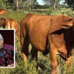 Refuerza Tamaulipas blindaje sanitario