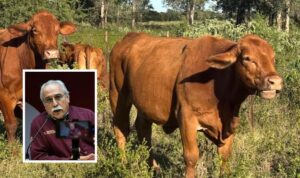 Refuerza Tamaulipas blindaje sanitario