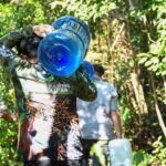 Refuerzan proteccion de fauna silvestre ante