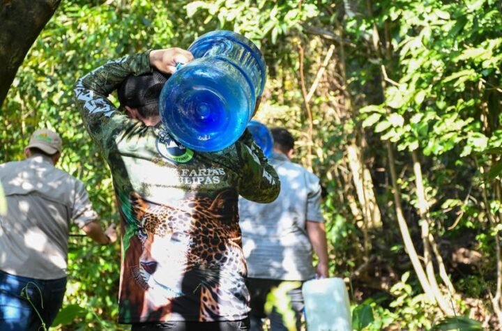 Refuerzan protección de fauna silvestre ante ola de calor en Tamaulipas 9 Refuerzan proteccion de fauna silvestre ante