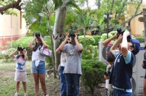 Invitan a jornada de pajareada y exposición fotográfica en el Museo TAMUX 2 6 Invitan a jornada de pajareada