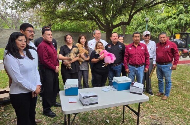 Aplicara Salud 345 mil dosis en campana de