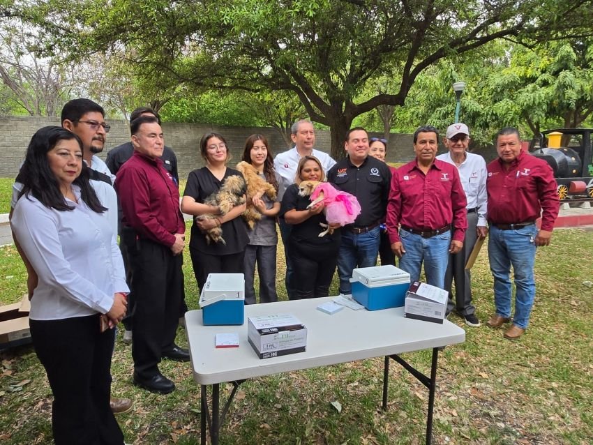 Aplicara Salud 345 mil dosis en campana de