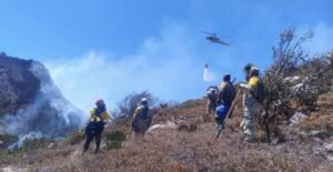 Controlado incendio forestal Puerto del Vol