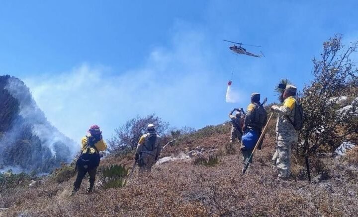 Controlado incendio forestal Puerto del Vol
