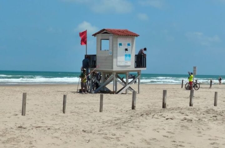 Fortalece Tamaulipas vigilancia ambiental ante presencia de hidrocarburos en costas de la zona sur 9 Fortalece Tamaulipas vigilancia ambiental