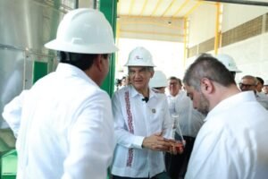 Gobernador constata avance de planta