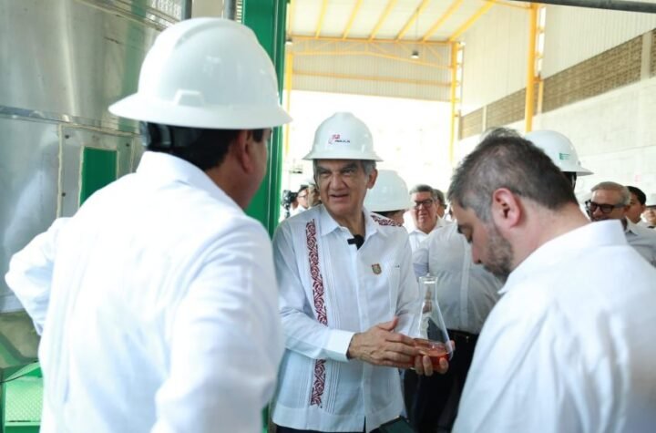 Gobernador constata avance de planta