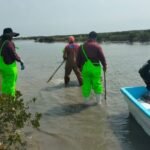 Impulsan desarrollo de granjas de ostion