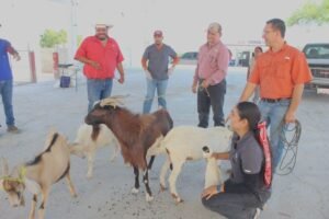 Impulsan evaluacion reproductiva