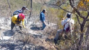 Reporta gobierno de Tamaulipas avance del 90% en control de incendio forestal en Jaumave 2 Reporta gobierno de Tamaulipas avance del 90