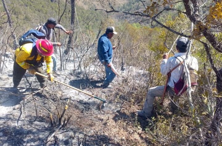 Reporta gobierno de Tamaulipas avance del 90