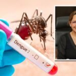 Sin criaderos no hay mosquitos SST intensifica fumigacion masiva