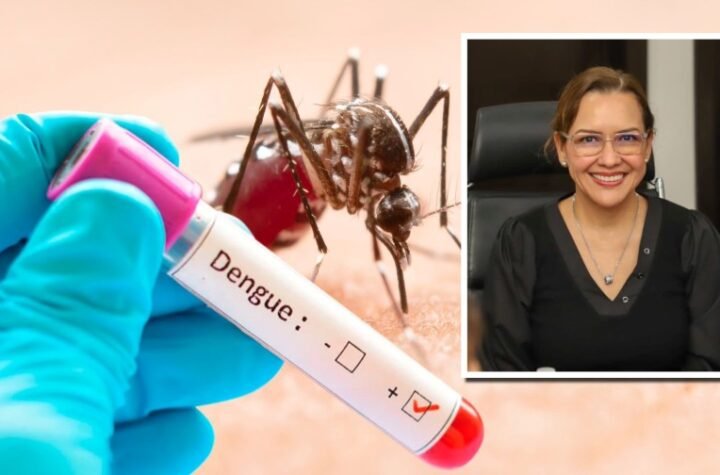 Sin criaderos no hay mosquitos: SST intensifica fumigación masiva en Tamaulipas rumbo al Mundial 2 Sin criaderos no hay mosquitos SST intensifica fumigacion masiva