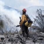 Tamaulipas logra la liquidacion total del incendio forestal en Bustamante 2