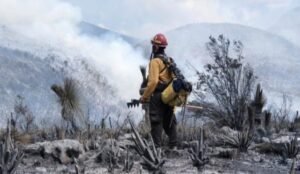 Tamaulipas logra la liquidación total del incendio forestal en Bustamante 2 Tamaulipas logra la liquidacion total del incendio forestal en Bustamante 2