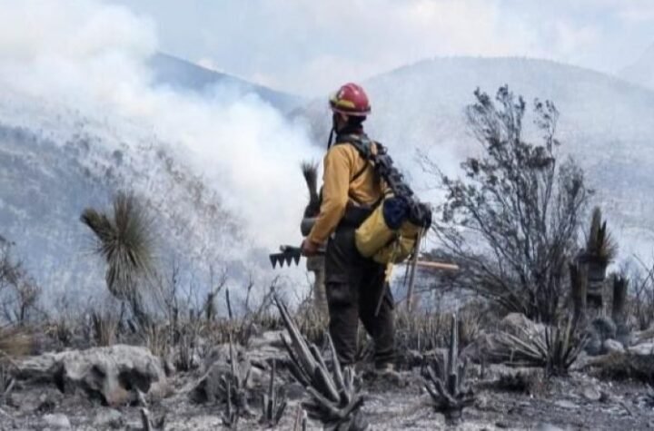 Tamaulipas logra la liquidacion total del incendio forestal en Bustamante 2