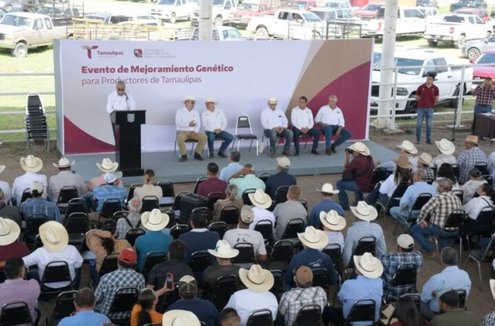 3 Dan impulso a la ganaderia con sem